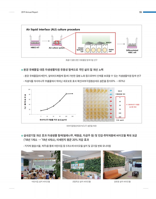 55페이지