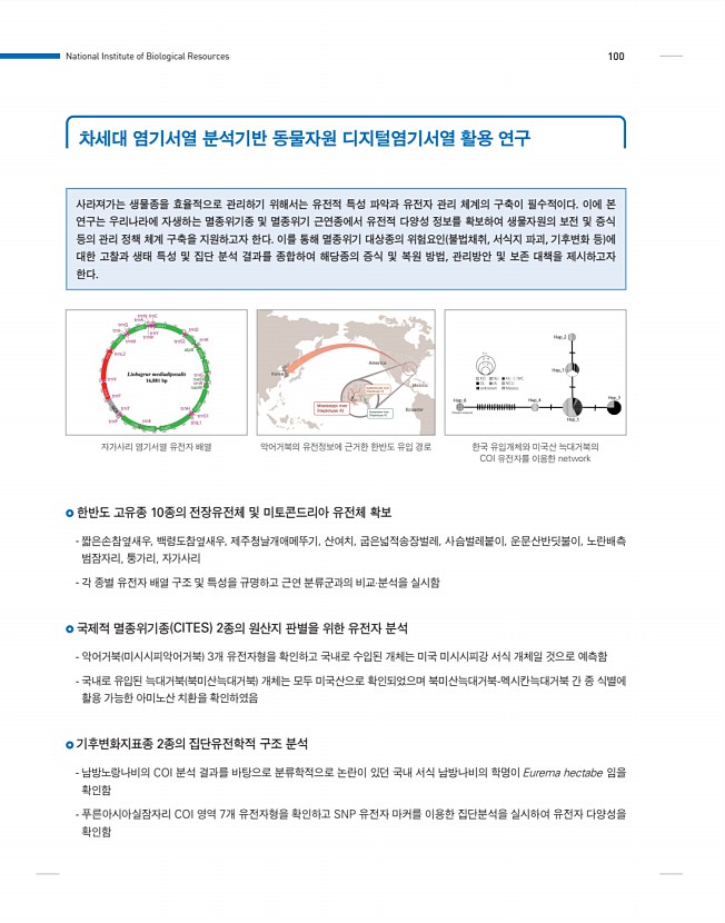 100페이지