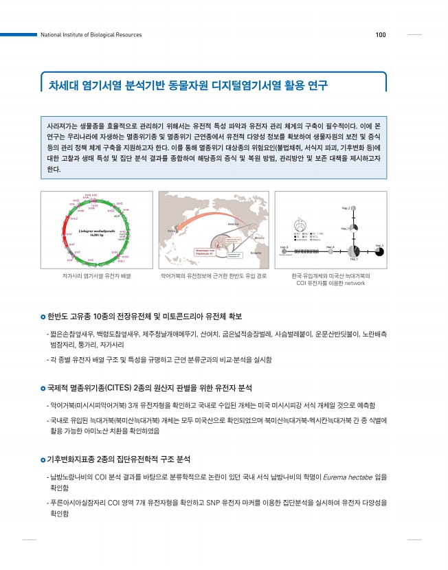 100페이지