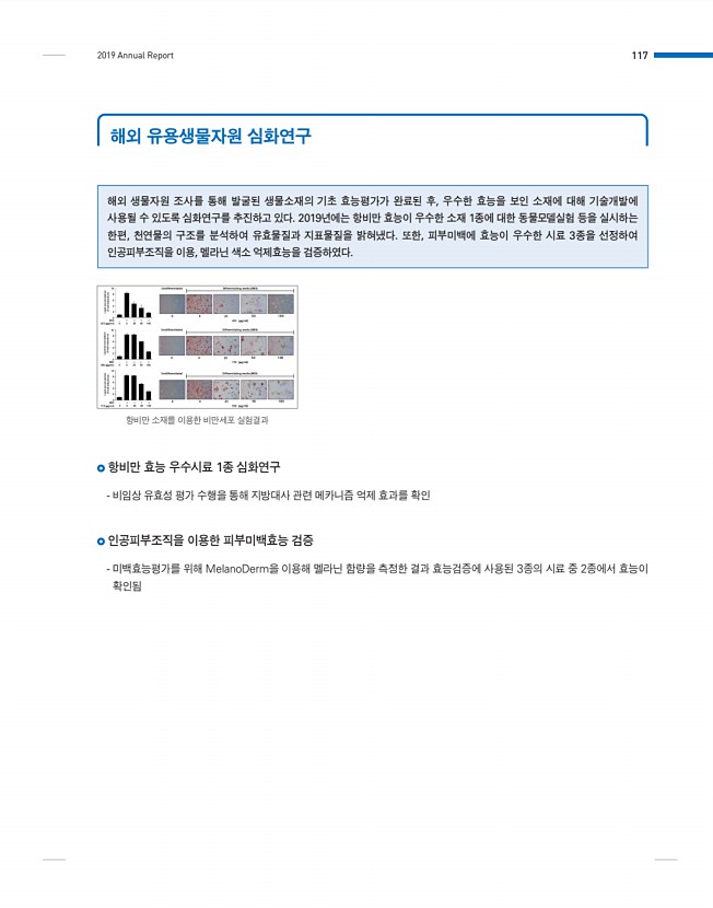 117페이지