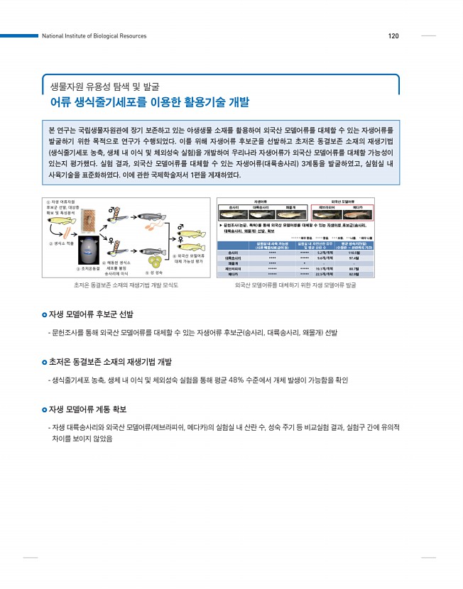 120페이지