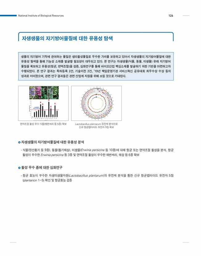 126페이지