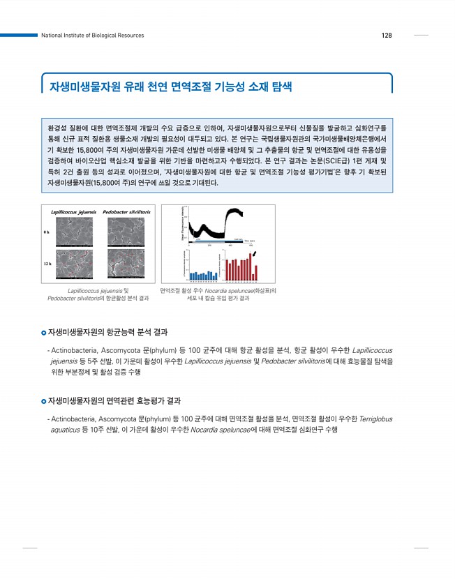 128페이지