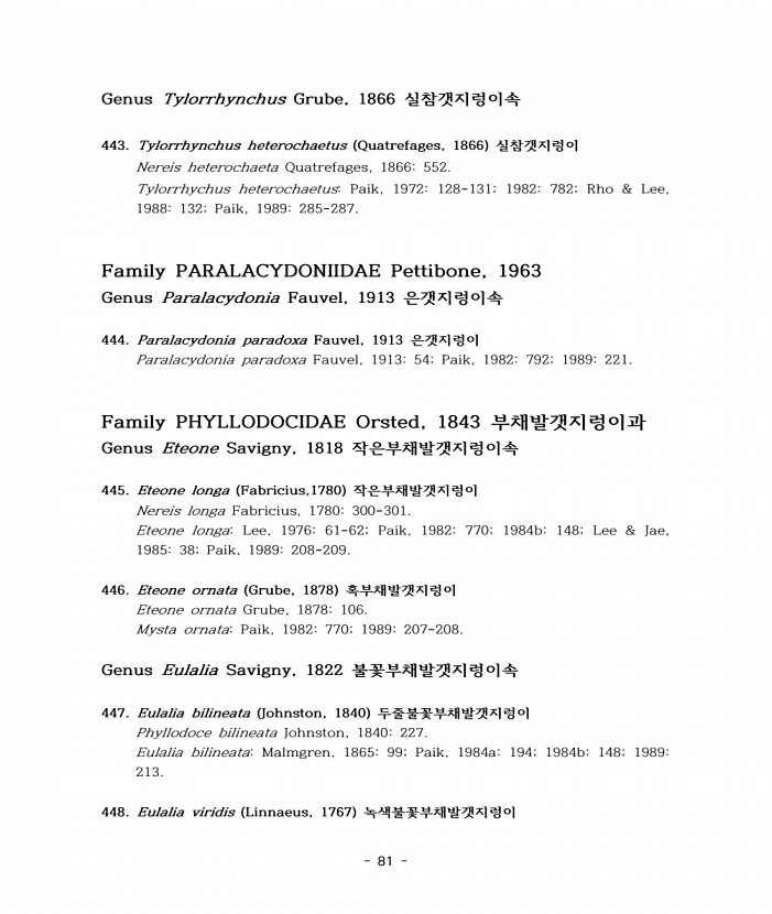 100페이지