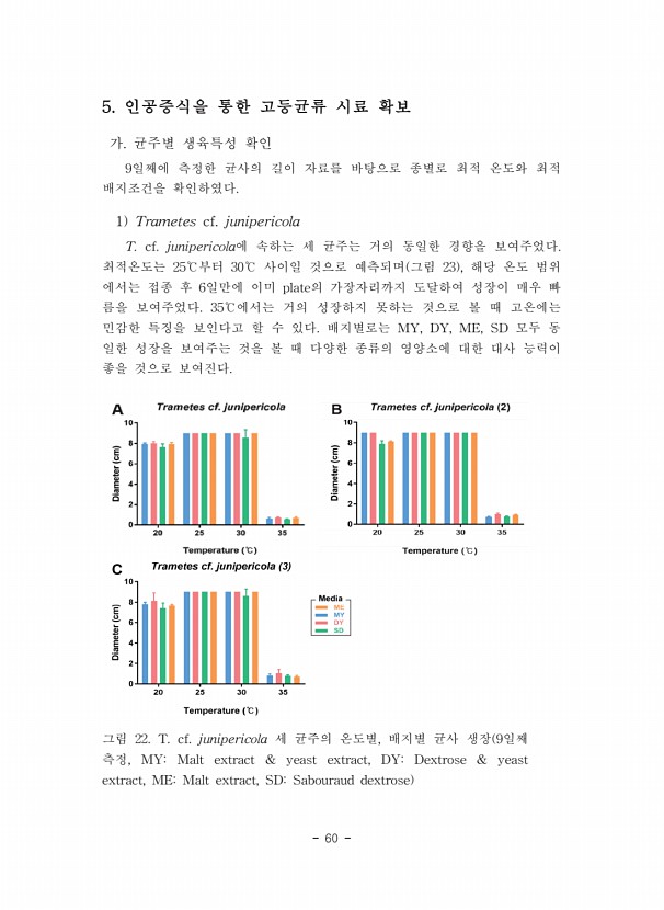 60페이지