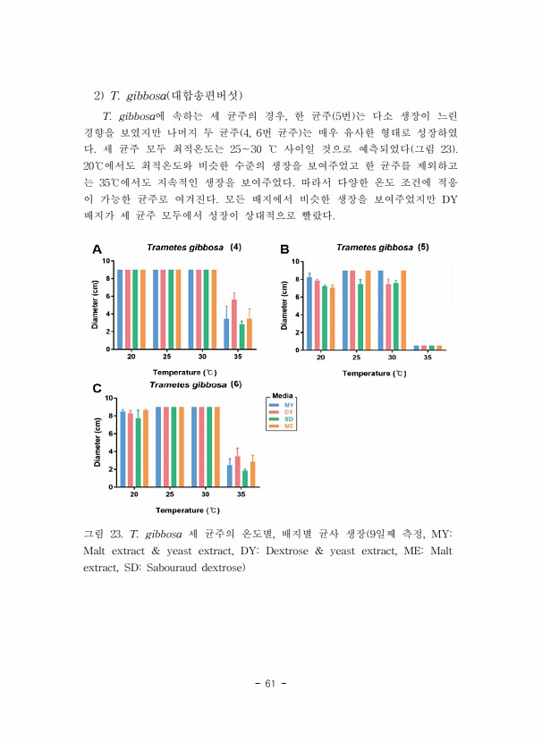 61페이지
