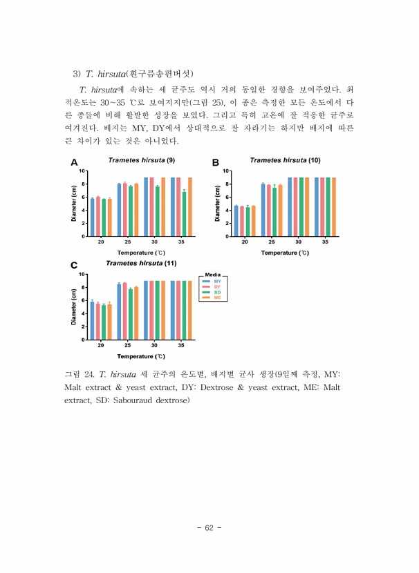 62페이지