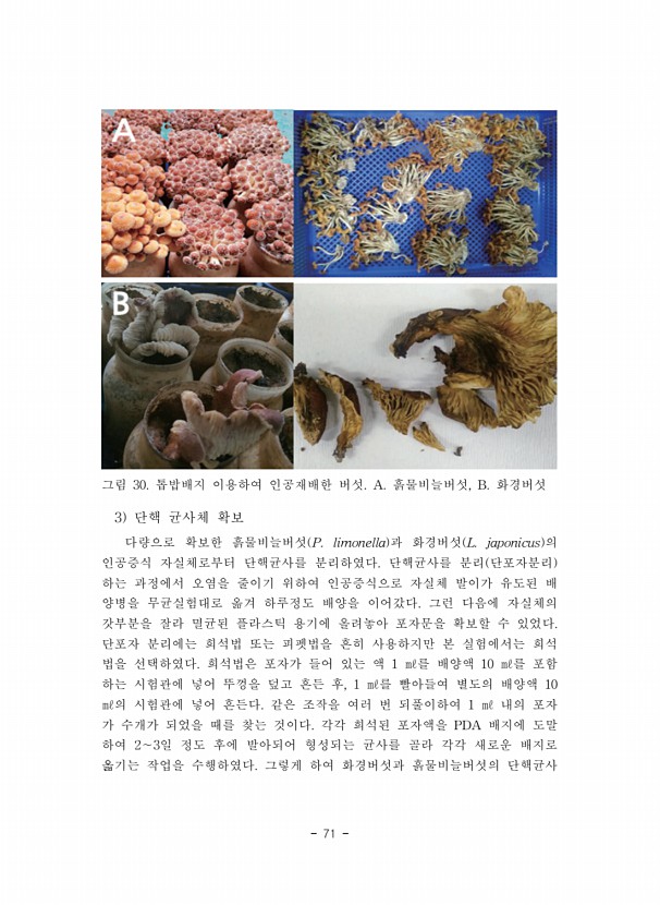71페이지