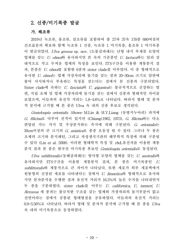 29페이지