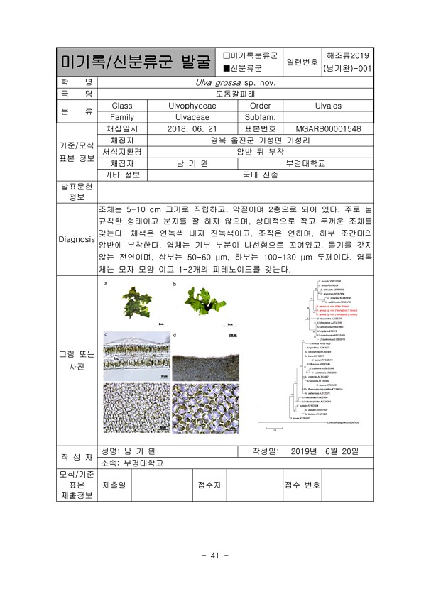 41페이지