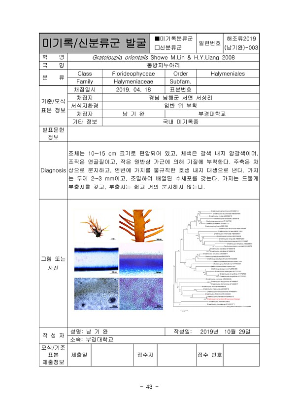 43페이지