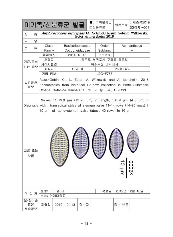 45페이지