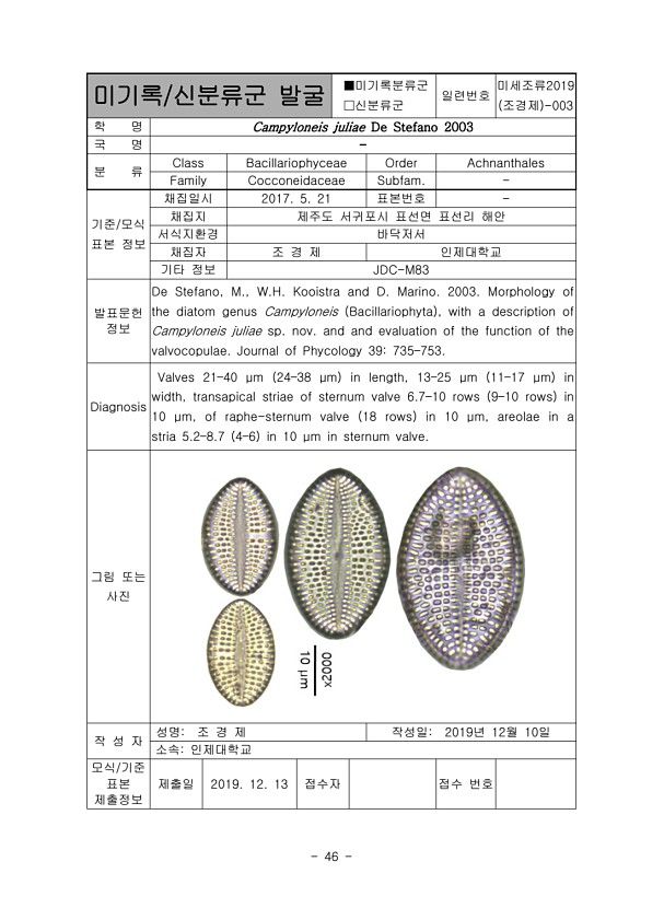 46페이지