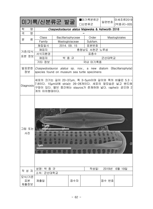 62페이지