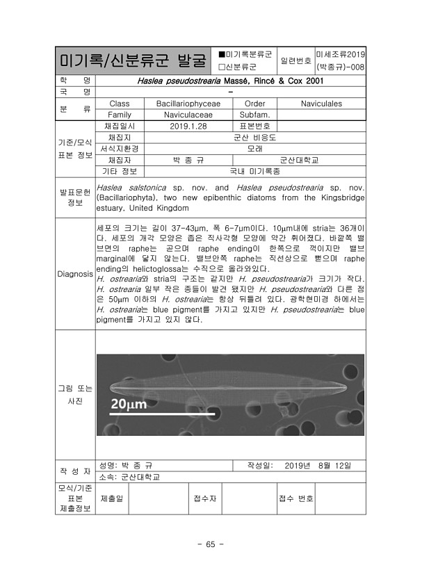 65페이지