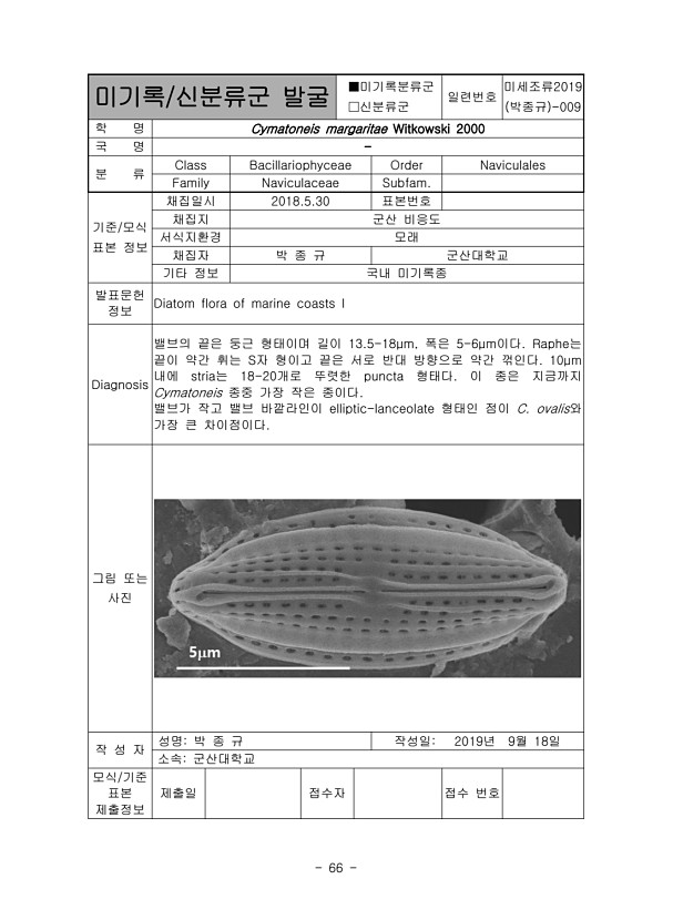 66페이지