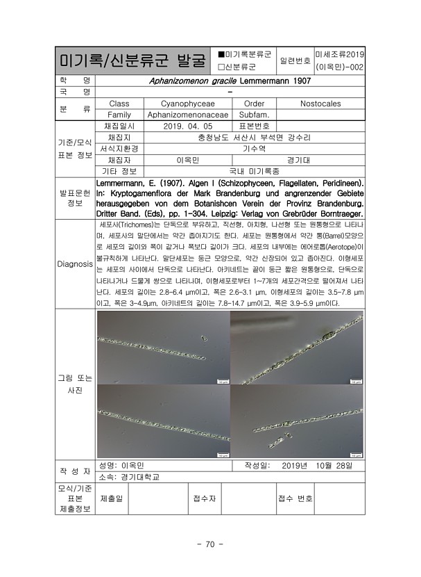 70페이지