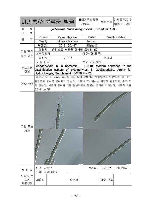 74페이지