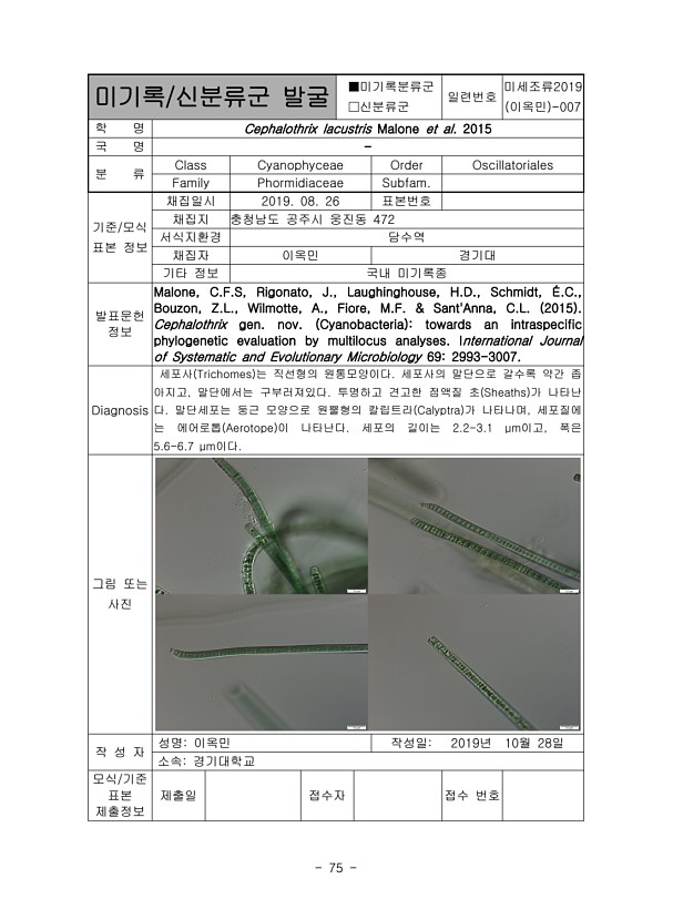 75페이지
