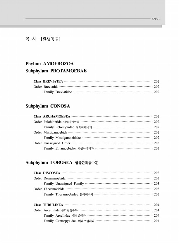 19페이지