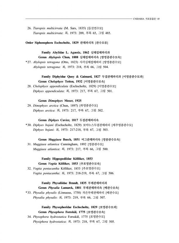 33페이지