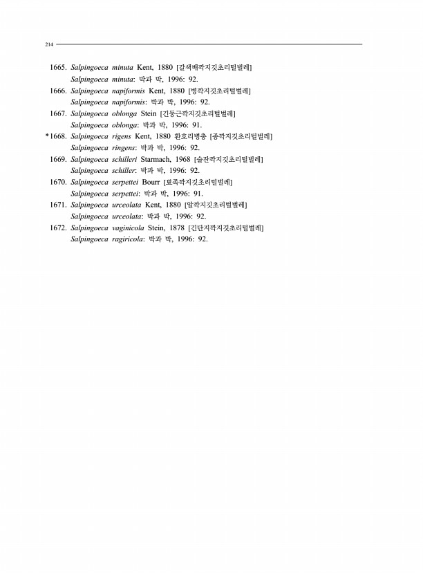 196페이지