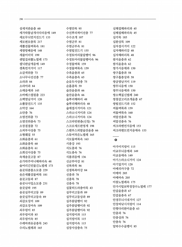 262페이지