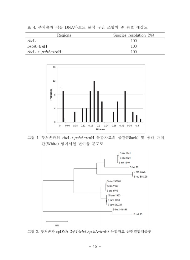 15페이지