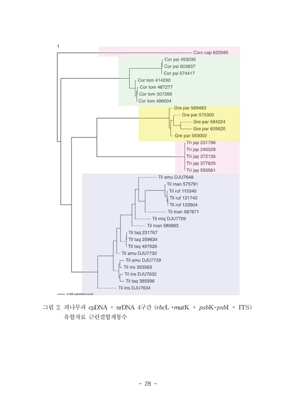 28페이지