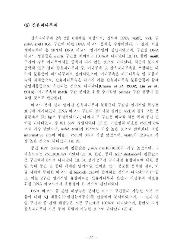 29페이지