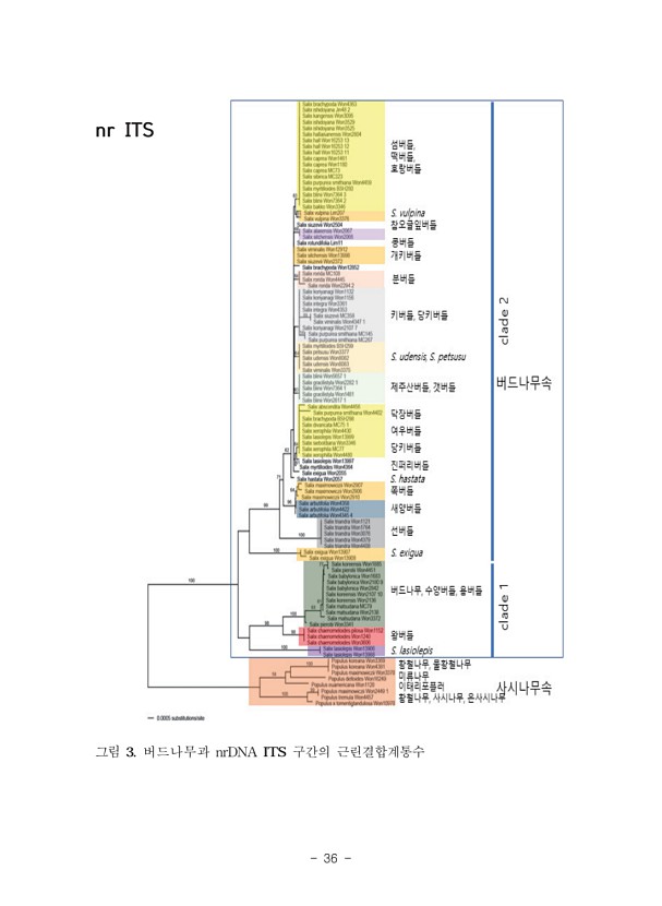 36페이지