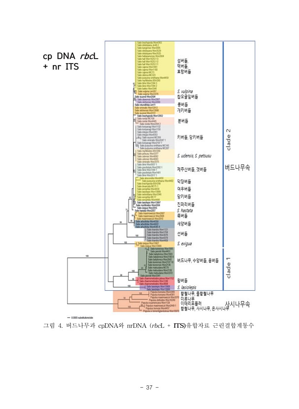 37페이지