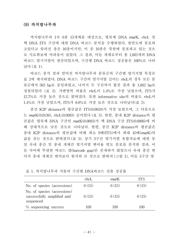 41페이지