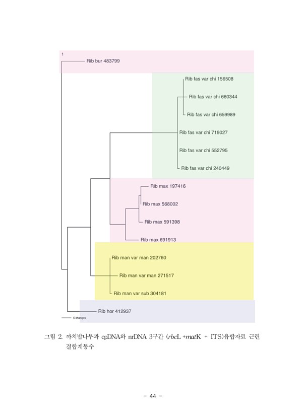 44페이지