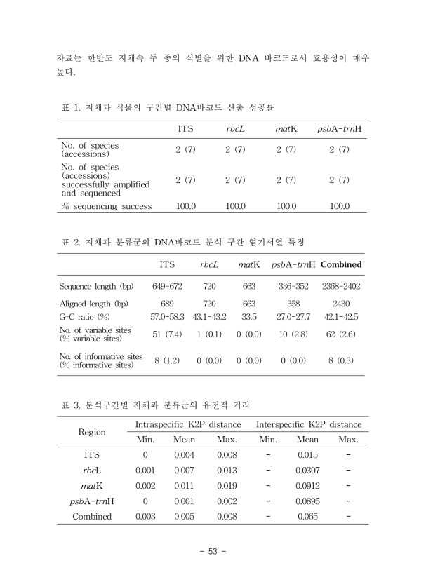 53페이지