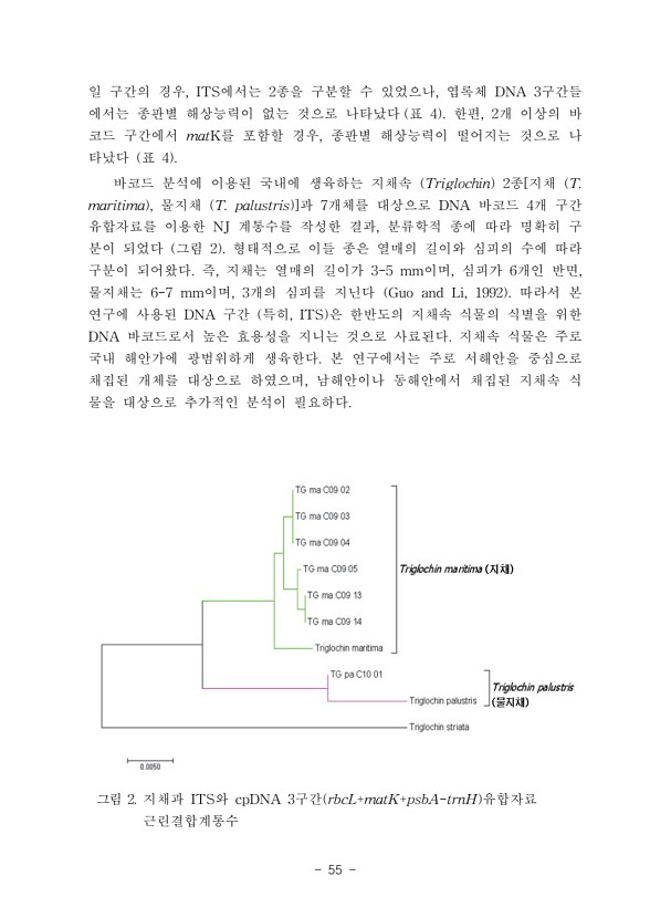 55페이지