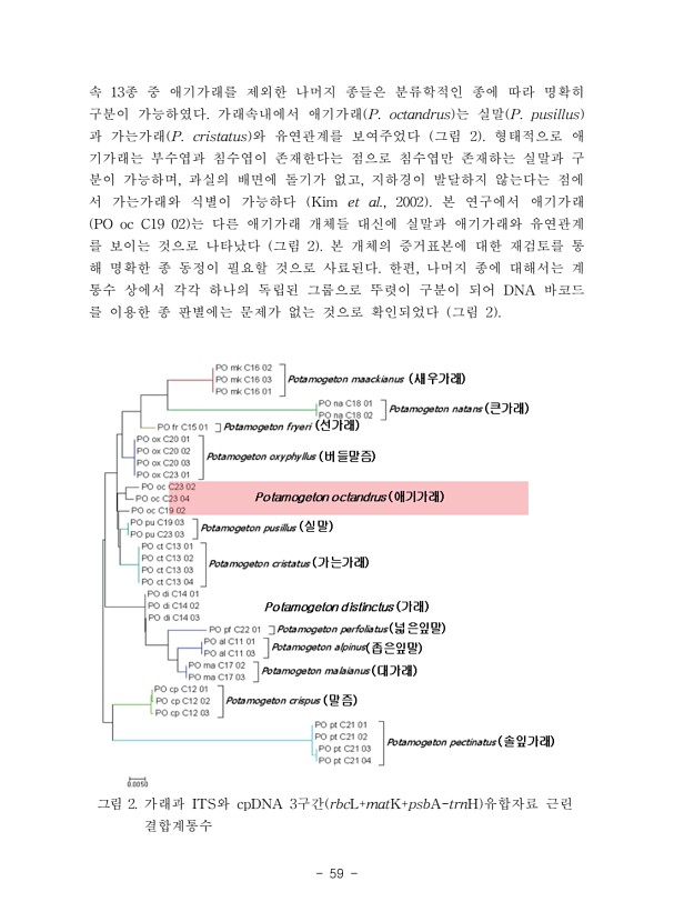 59페이지