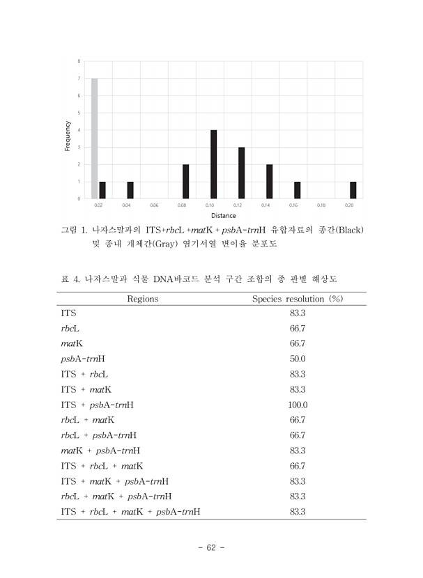 62페이지