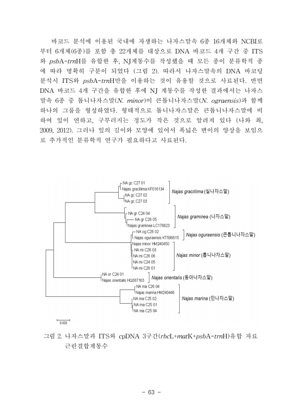 63페이지