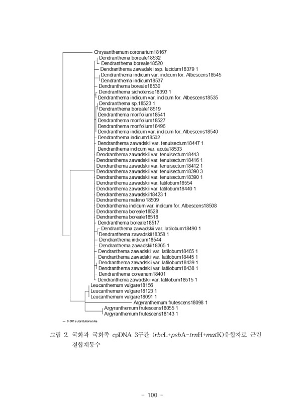 100페이지