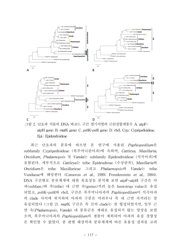 117페이지