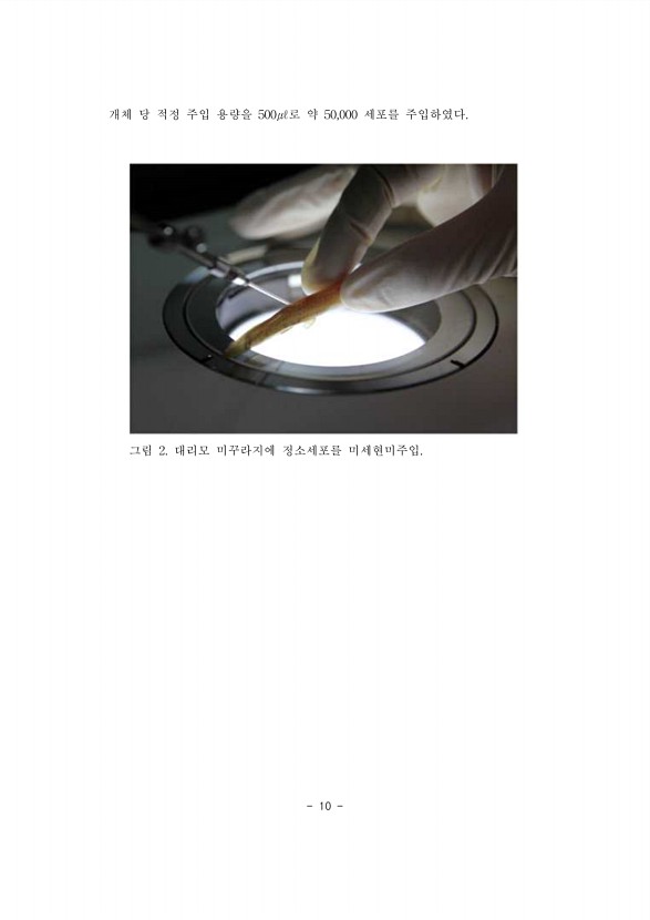 10페이지