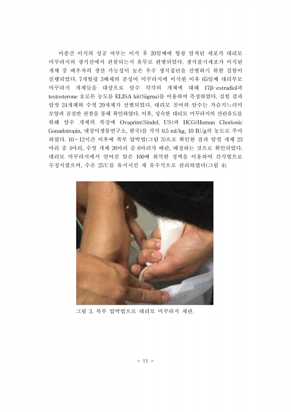 11페이지