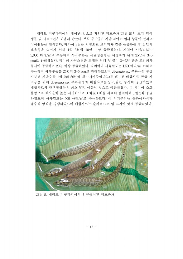 13페이지