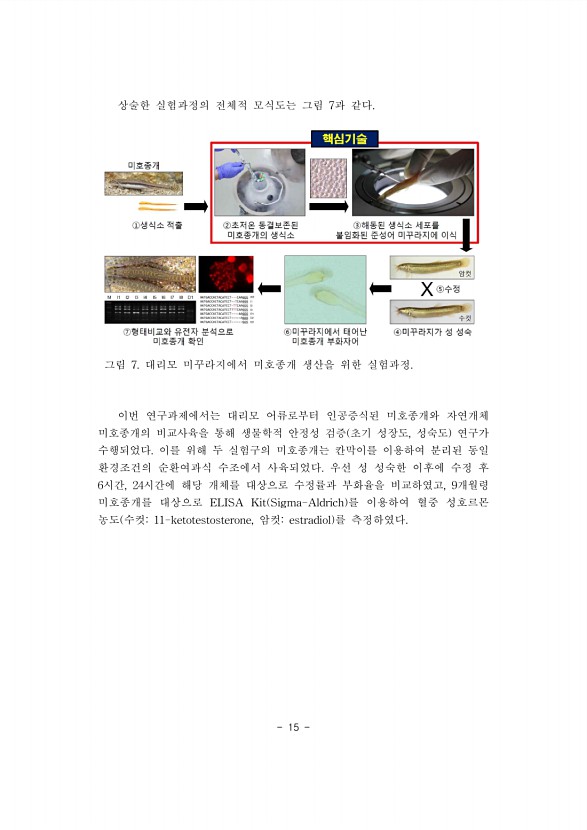 15페이지