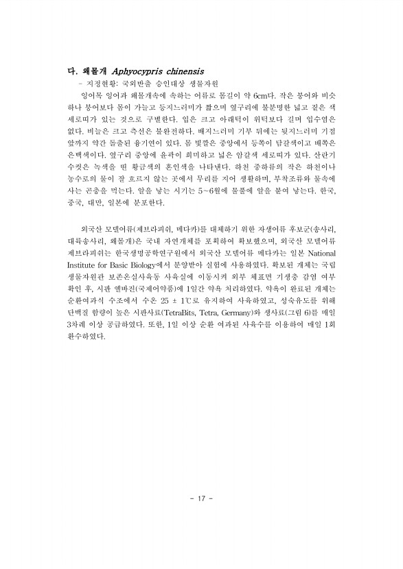 17페이지