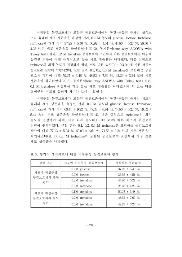 20페이지