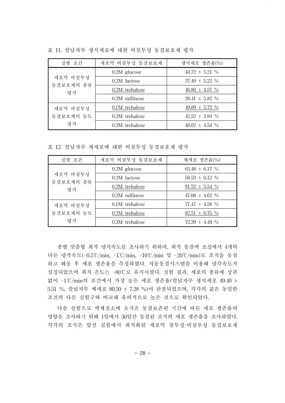 28페이지