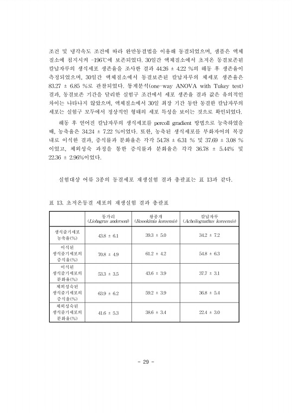 29페이지