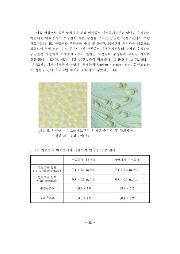32페이지